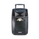 Temeisheng SL10-01 Trolley Speaker (SHENGFU CP-113CD PROFESSIONAL RECHARGEABLE UHF)
